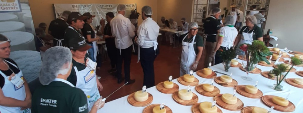 Começa a temporada dos concursos regionais de queijos artesanais de Minas Gerais